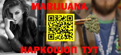 сатива Гатчина