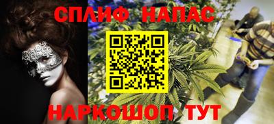 сатива Гатчина
