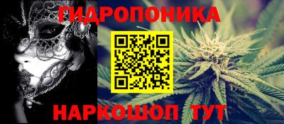 эйфоретик Гай