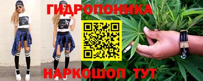 сатива Гатчина
