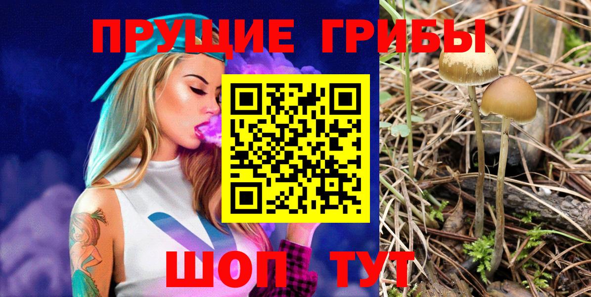 Галлюциногенные грибы Psilocybe  Вход с VPN  Новый Уренгой 