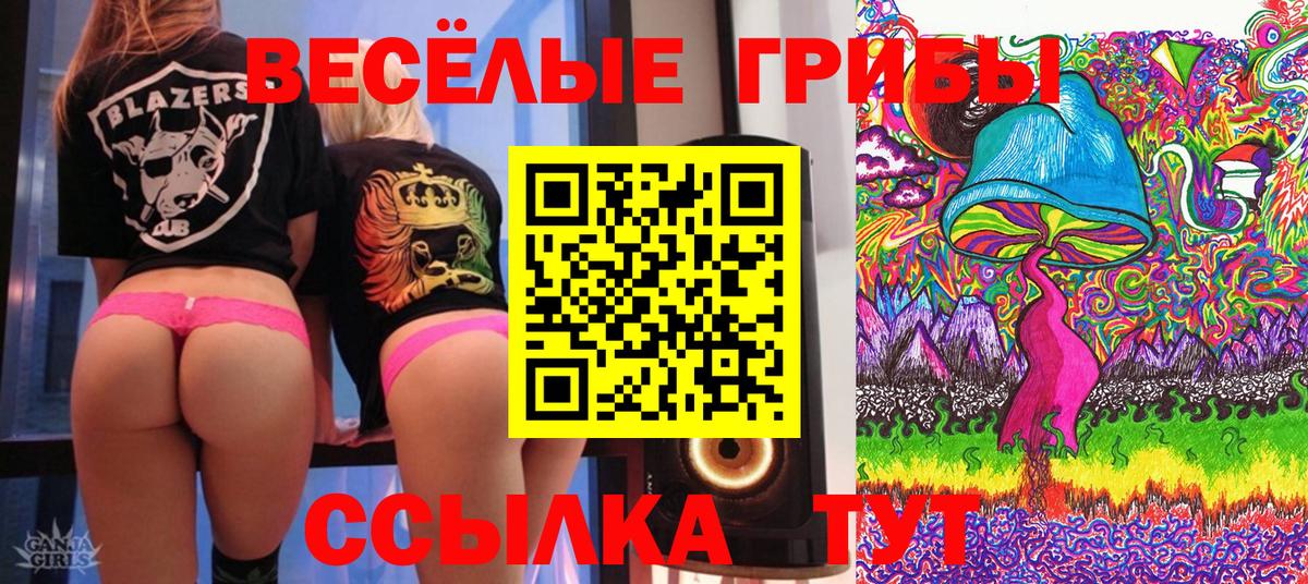Псилоцибиновые грибы GOLDEN TEACHER Новый Уренгой